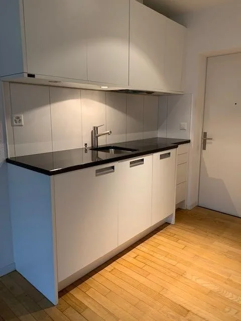 Gemütliche 1-Zimmerwohnung in Zürich