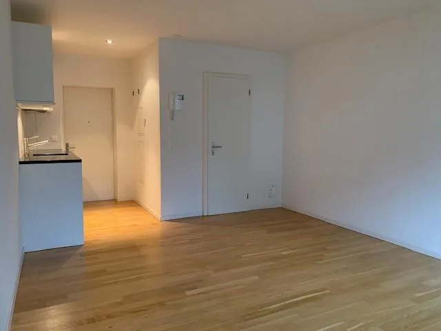 Gemütliche 1-Zimmerwohnung in Zürich