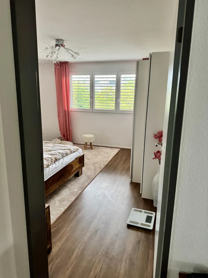 Neuwertige Wohlfühlwohnung, 3 1/2-Zi, mit 2 Balkonen und Rheinsicht