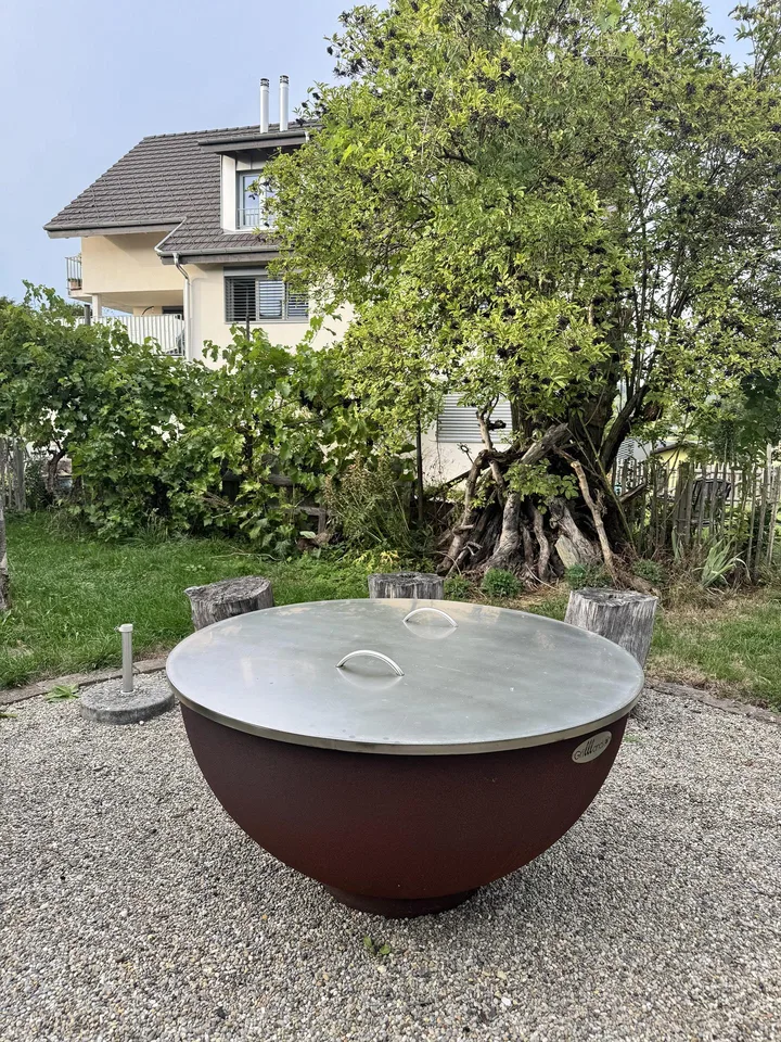 Neuwertige Wohlfühlwohnung, 3 1/2-Zi, mit 2 Balkonen und Rheinsicht