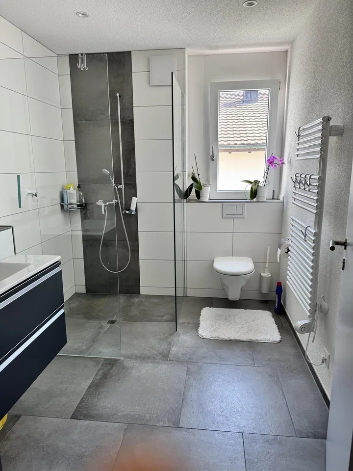 Neuwertige Wohlfühlwohnung, 3 1/2-Zi, mit 2 Balkonen und Rheinsicht