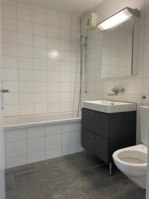 Grosse Wohnung mit neuer Küche