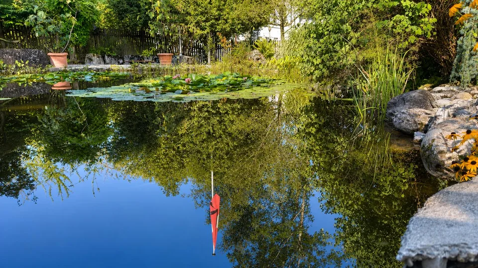 Idyllisches Zuhause in St. Gallen – Gartenparadies mit Schwimmteich – Foto 9 von 9