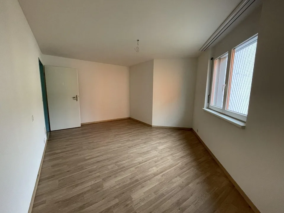 4-bedroom apartment on the ground floor for rent in Hölstein