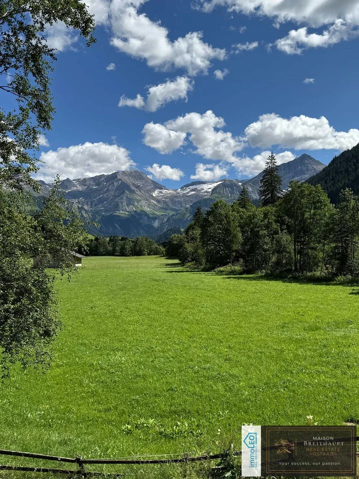 Idyllisches 5½-Zimmer Neubau-Chalet mit Bergsicht – photo 3 sur 9