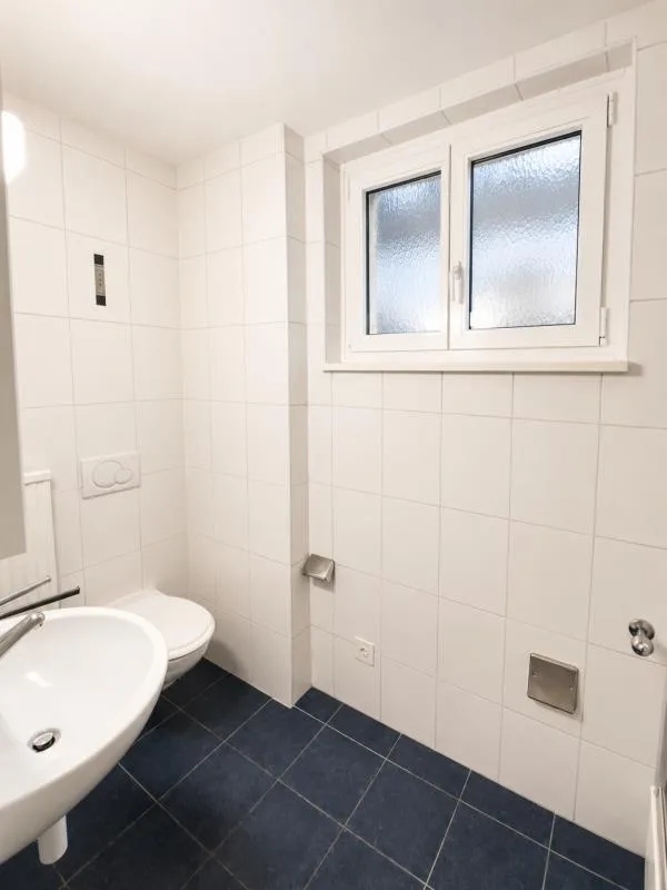 3 Zimmer Wohnung, 4102 Binningen
