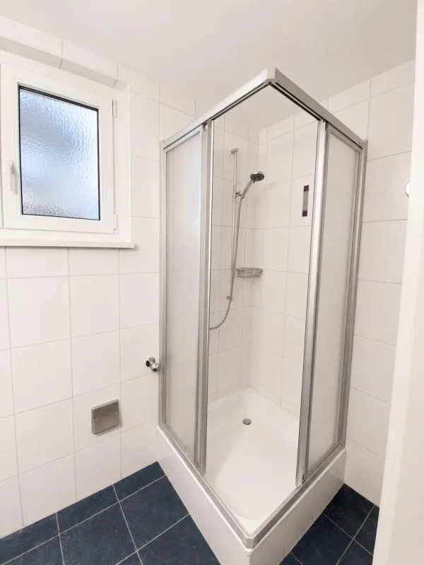 3 Zimmer Wohnung, 4102 Binningen