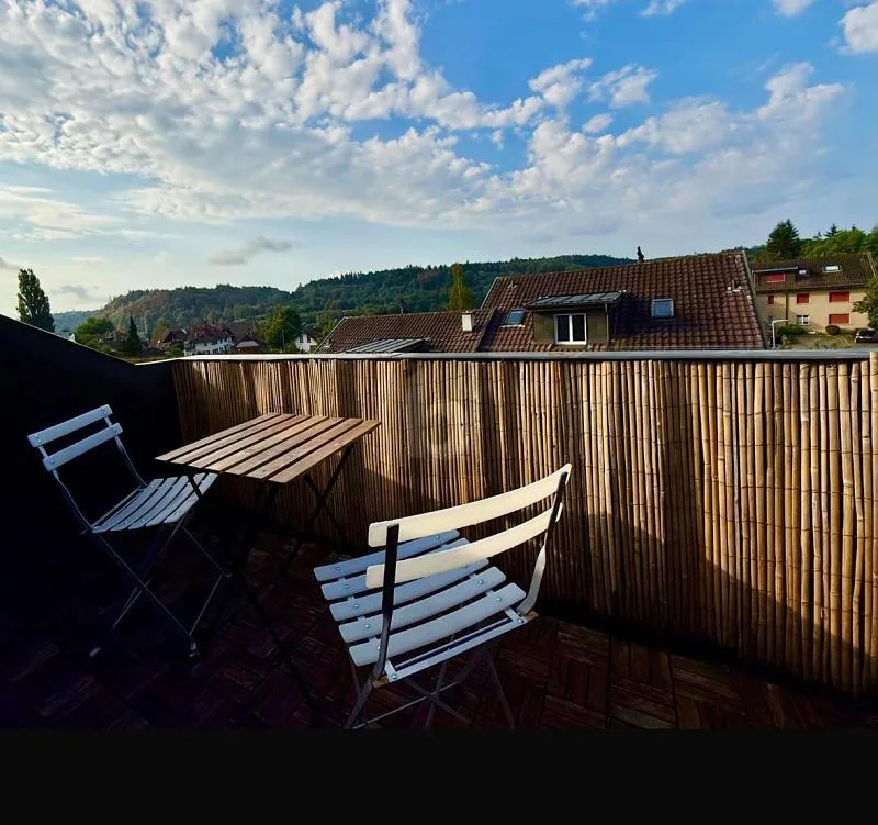 SUN TERRACE WITH PANORAMIC VIEW - NEAR THE AARE – photo 7 of 7
