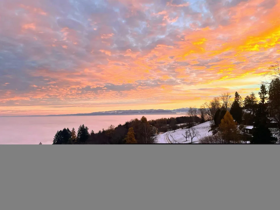 Suche NM für Studio Bodenseeblick / gr. Balkon, ab sofort – Foto 6 von 19