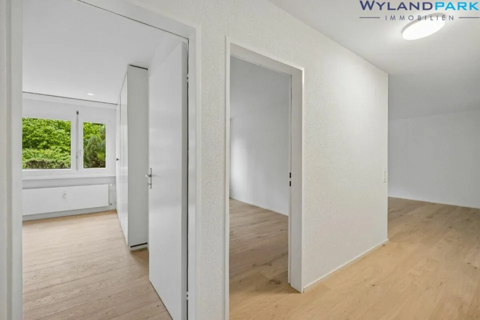 sanierte 4.0-Zimmerwohnung mit grossem Balkon an zentraler Lage (1....