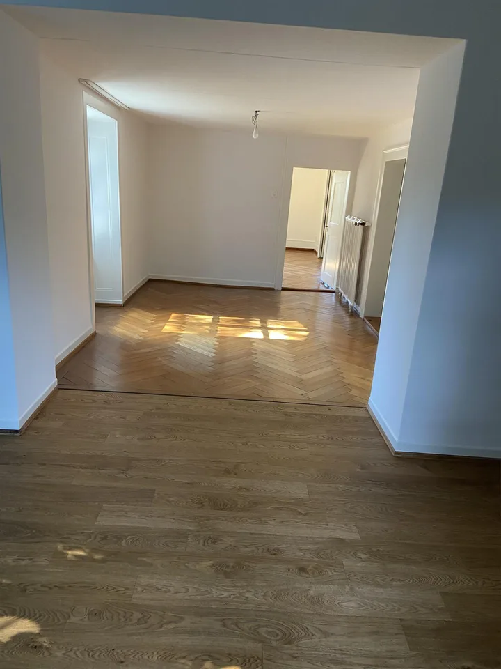 Traumhafte 6.5 Zimmer-Wohnung in historischer Landhausvilla