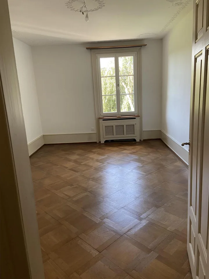 Traumhafte 6.5 Zimmer-Wohnung in historischer Landhausvilla