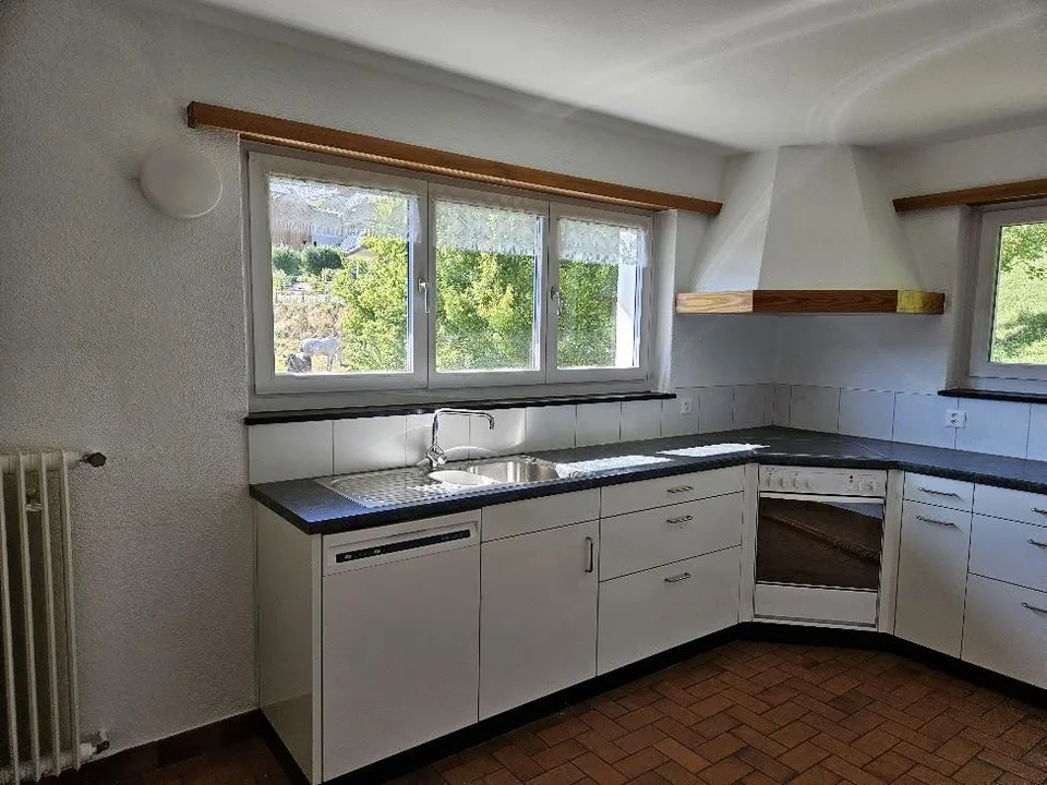 4 1/2 Zimmer, frisch renoviert, zentral, ruhig, wunderschöne Aussicht