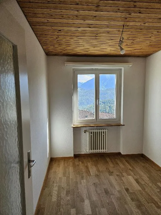 4 1/2 Zimmer, frisch renoviert, zentral, ruhig, wunderschöne Aussicht