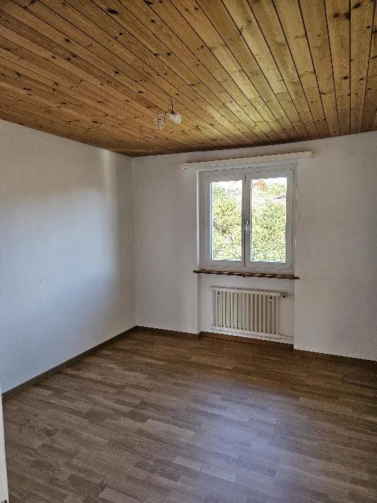 4 1/2 Zimmer, frisch renoviert, zentral, ruhig, wunderschöne Aussicht