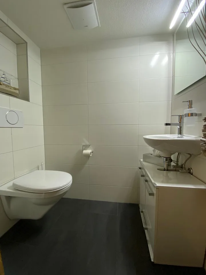 3 1/2 Zimmerwohnung