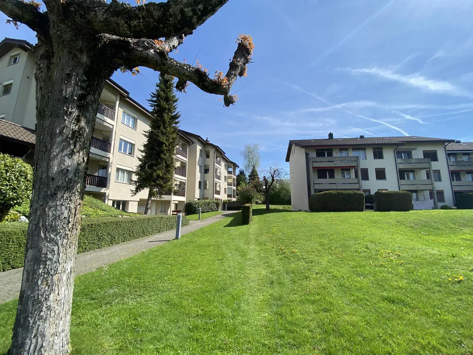 Preiswerte 3.5-Zi. Wohnung an zentraler Lage im Grünen