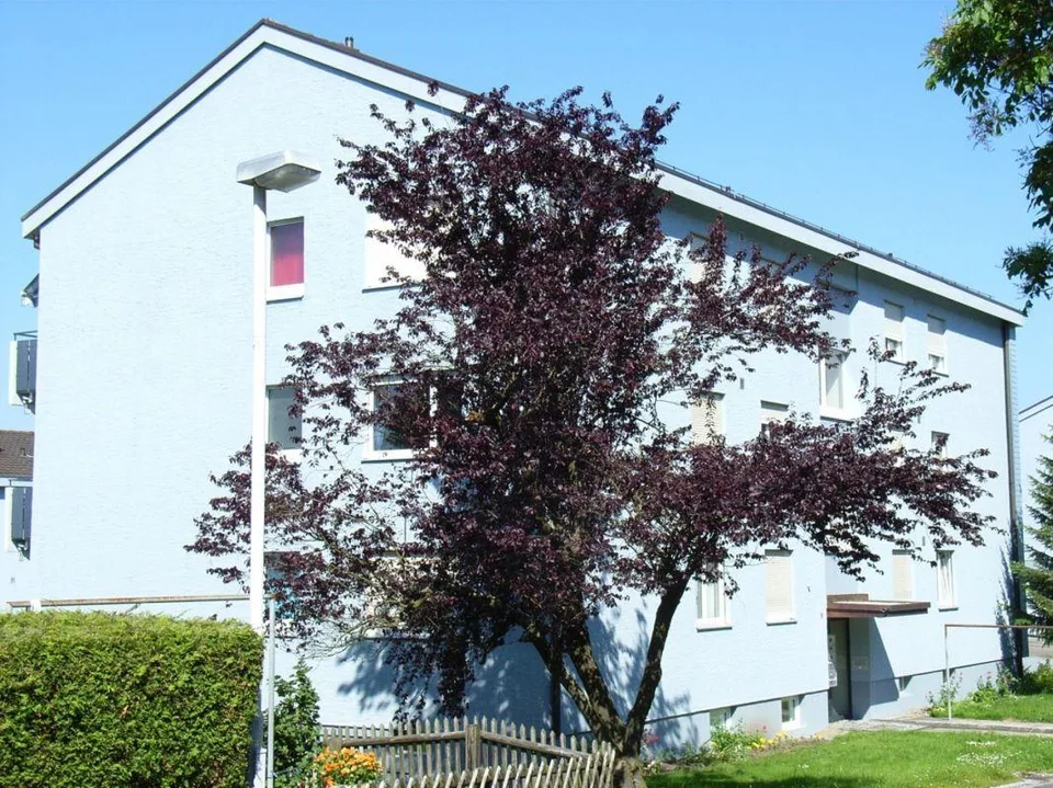 helle und sonnige 2 Zimmerwohnung mit Balkon und schöner Aussicht – photo 7 sur 8