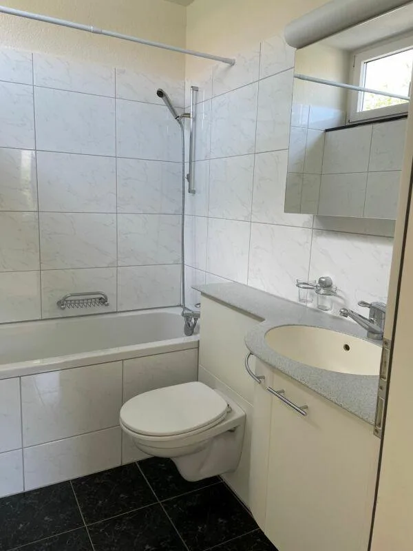 2-Zimmerwohnung in Birsfelden