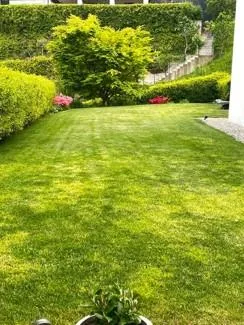 Villa in Bosco Luganese – Foto 28 von 30