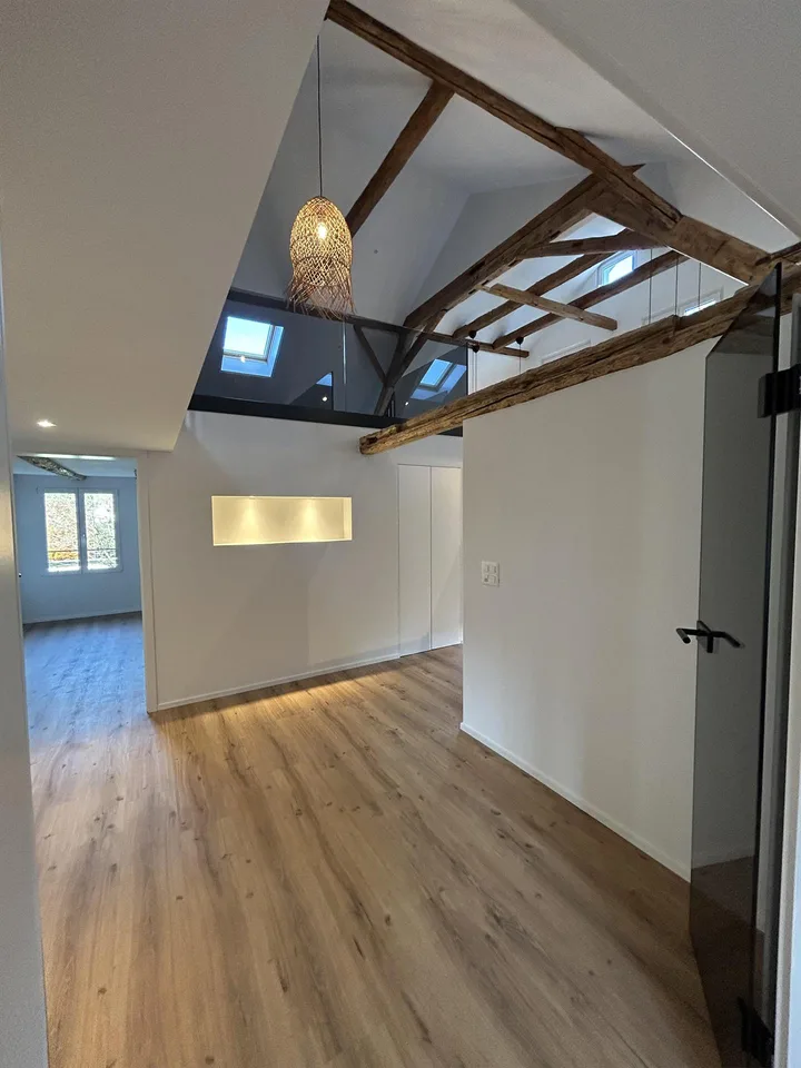 Modern home with in-law suite – photo 10 of 15