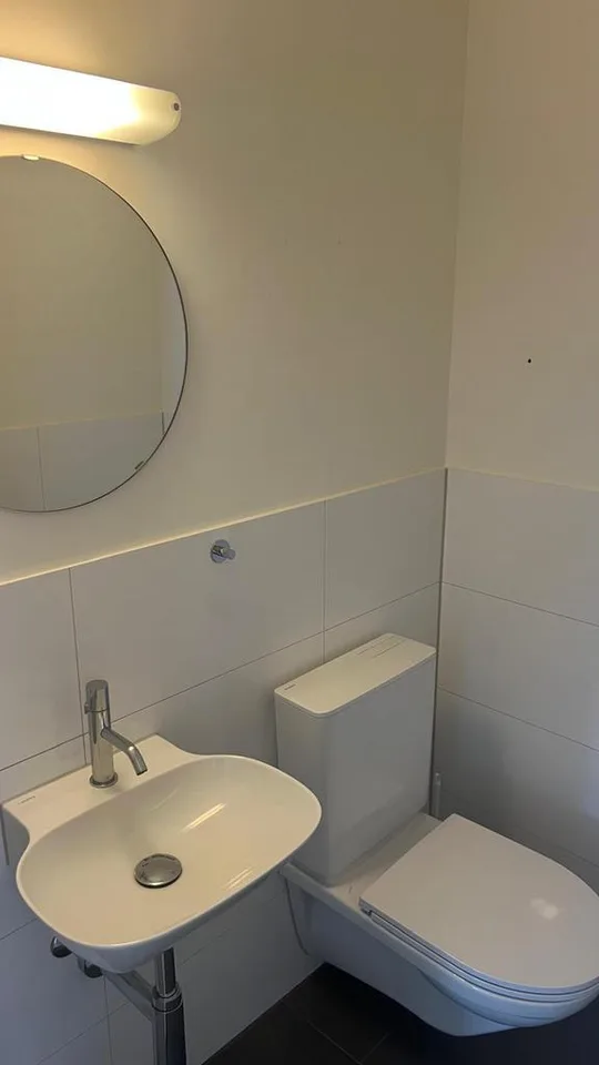 4-Zimmer-Attikawohnung mit grosser Dachterrasse in Reinach