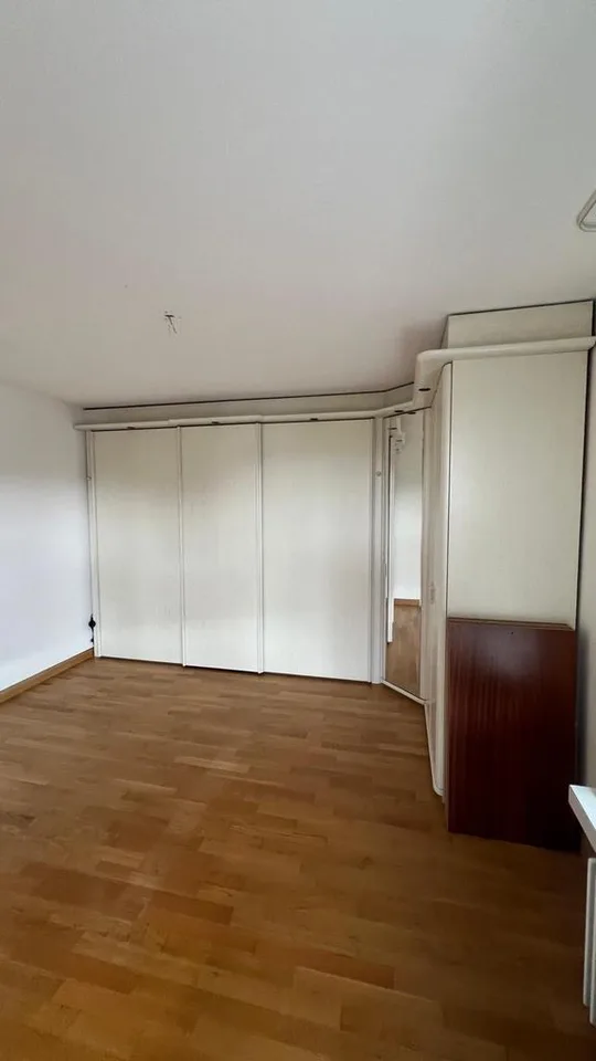 4-Zimmer-Attikawohnung mit grosser Dachterrasse in Reinach