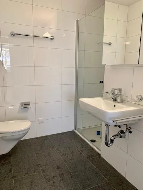 3.5 Zimmerwohnung in Sursee