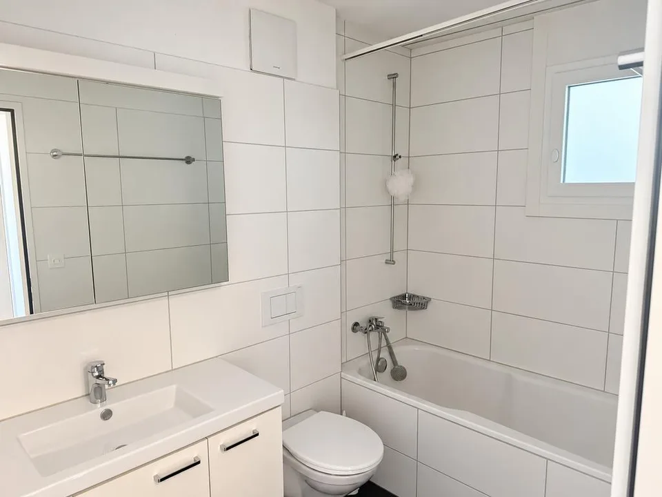 Cozy 3.5 room apartment in Rapperswil-Jona for rent