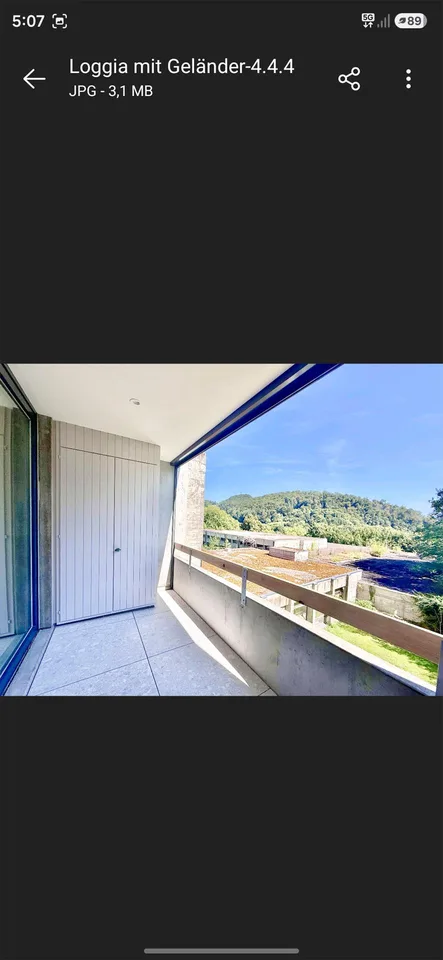 1,5 Zimmerwohnung (Renoviert & Waschtrockner)
