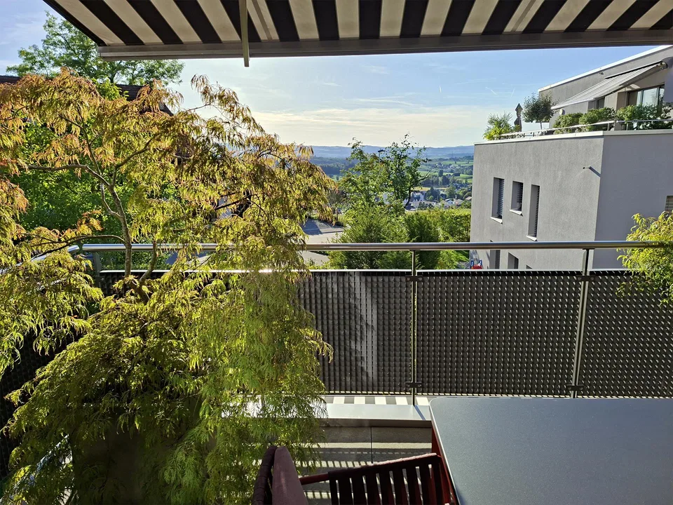 Helle 4.5-Zimmer-Wohnung mit Balkon und schöner Aussicht in Affoltern