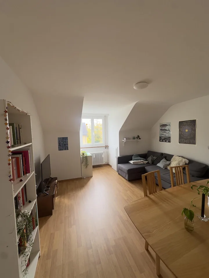 WG-Zimmer in Bern