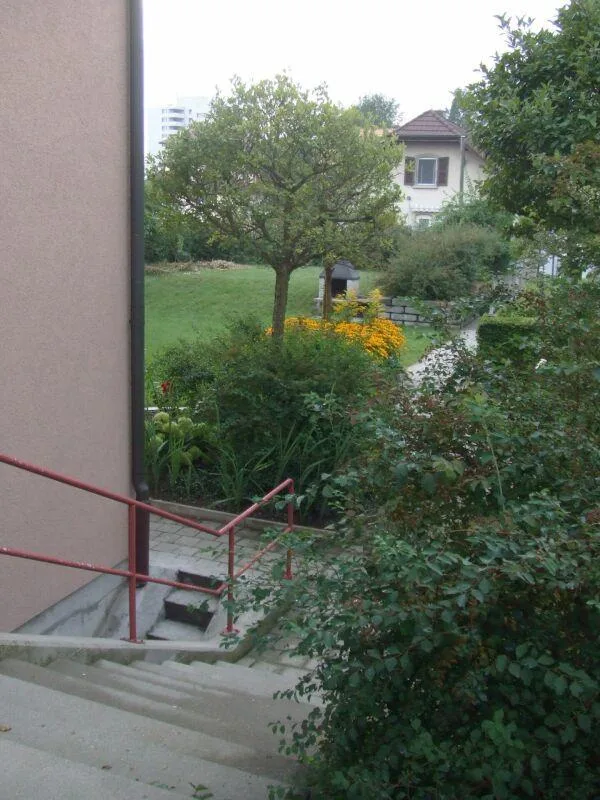 Heimelige Dachwohnung an zentraler Lage