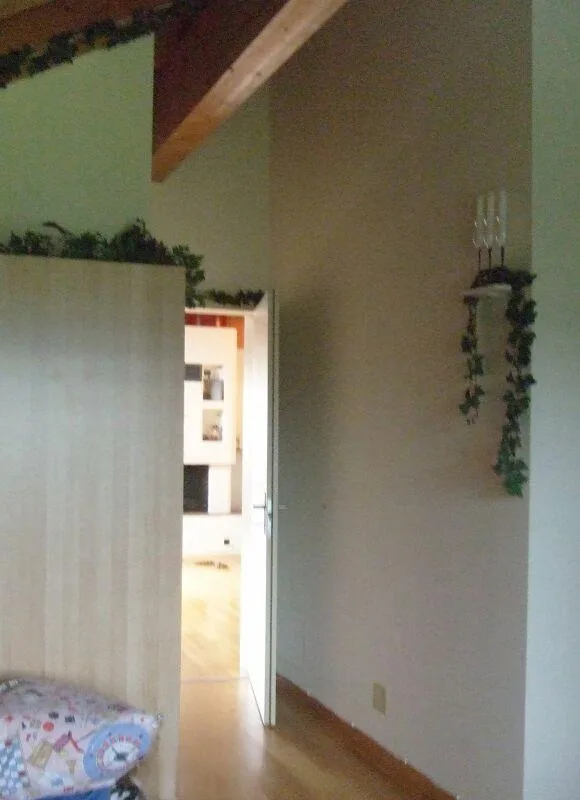 Heimelige Dachwohnung an zentraler Lage