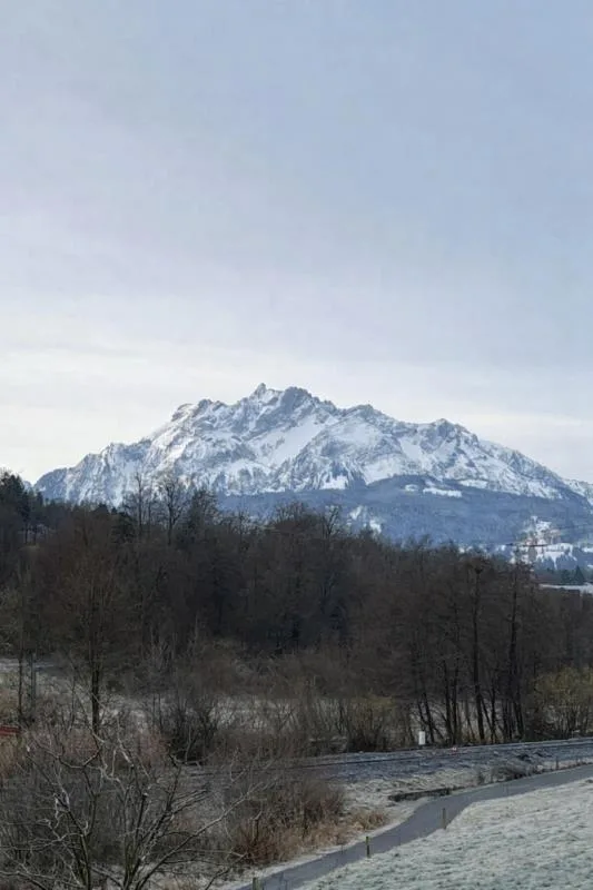 Helle 3.5-Zimmer-Wohnung mit Bergsicht an ruhiger Lage