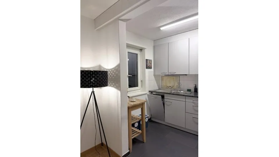 2½ ZIMMER-MAISONETTEWOHNUNG IN ZÜRICH - KREIS 8 SEEFELD/MÜHLEBACH, MÖB – foto 16 di 20