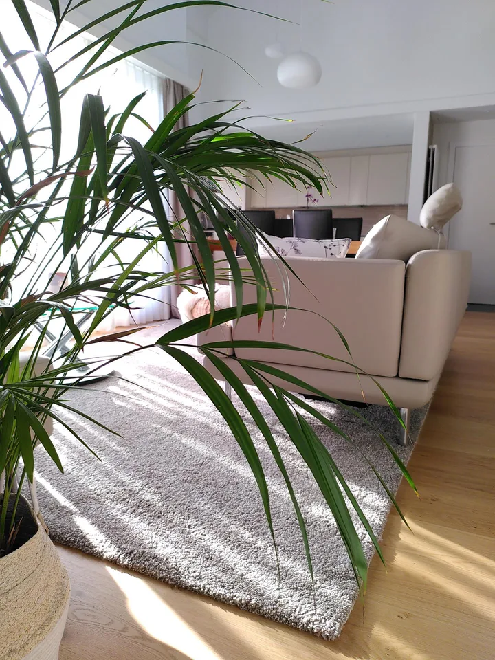 Charmante 5.5-Zimmer-Maisonette-Wohnung in Udligenswil – Foto 4 von 6