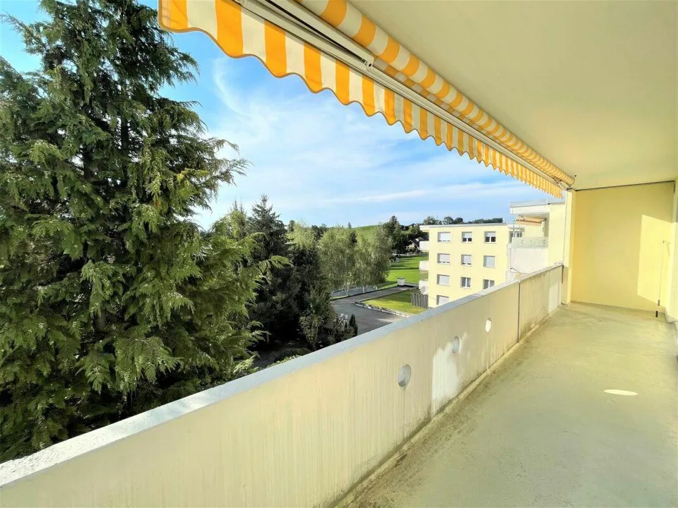 Nicht länger suchen - hier könnte Ihr neues Zuhause sein!