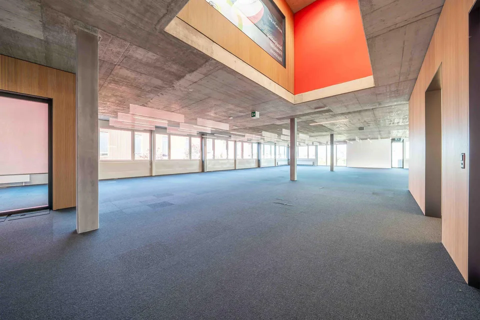 Flexible, offene und helle Dienstleistungsfläche (Büro, Praxis, Lager, – Foto 3 von 12