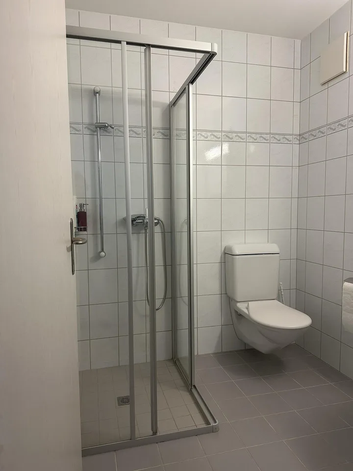 Schöne, grosszügige 1 1/2 Zimmer Wohnung im sonnigen Sax