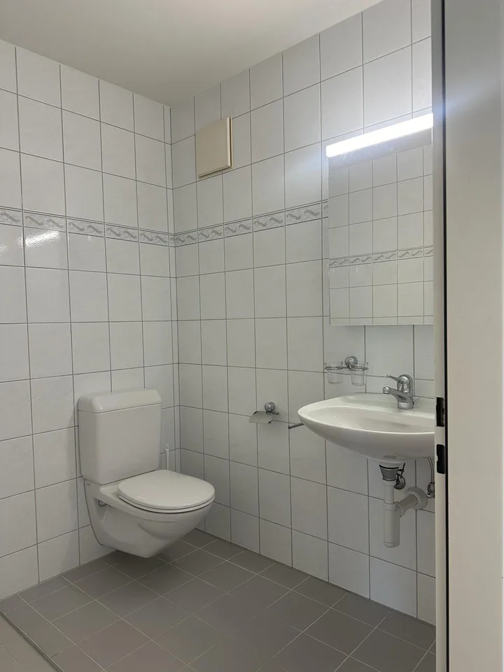 Schöne, grosszügige 1 1/2 Zimmer Wohnung im sonnigen Sax