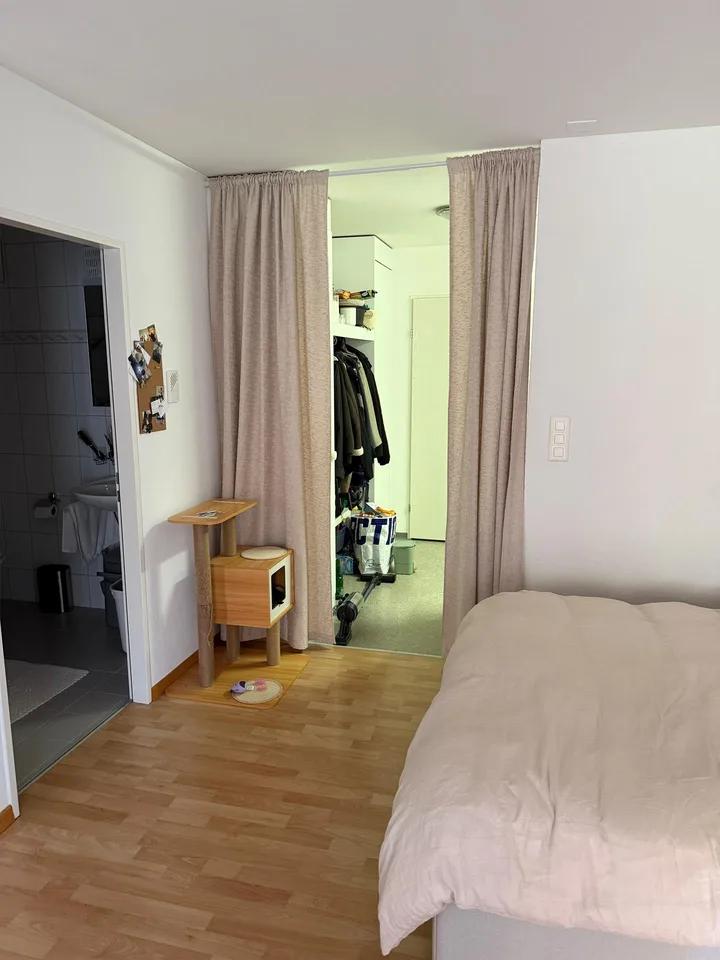 Schöne, grosszügige 1 1/2 Zimmer Wohnung im sonnigen Sax