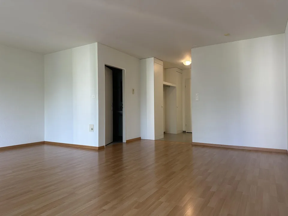 Schöne, grosszügige 1 1/2 Zimmer Wohnung im sonnigen Sax