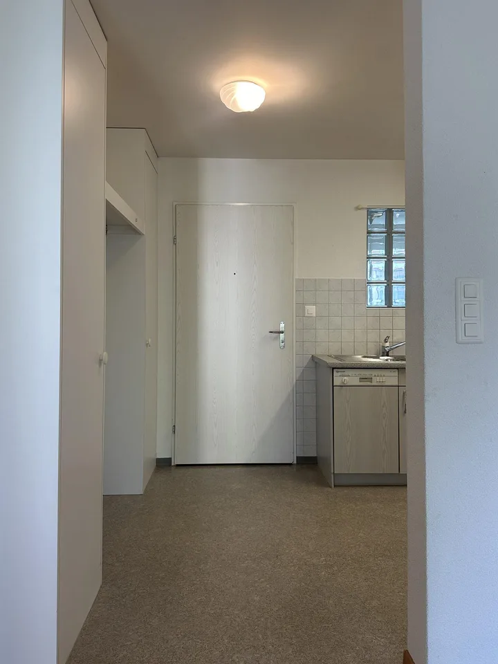 Schöne, grosszügige 1 1/2 Zimmer Wohnung im sonnigen Sax