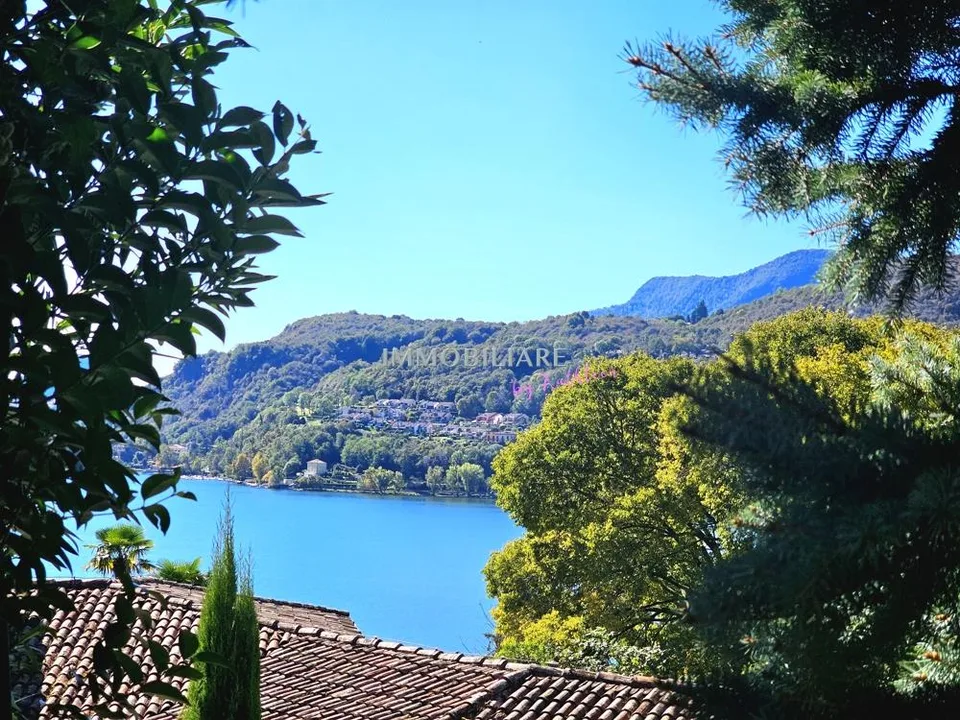 Wohnung in Villa: Erdgeschoss mit Kamin, Sitzplatz und Seeblick