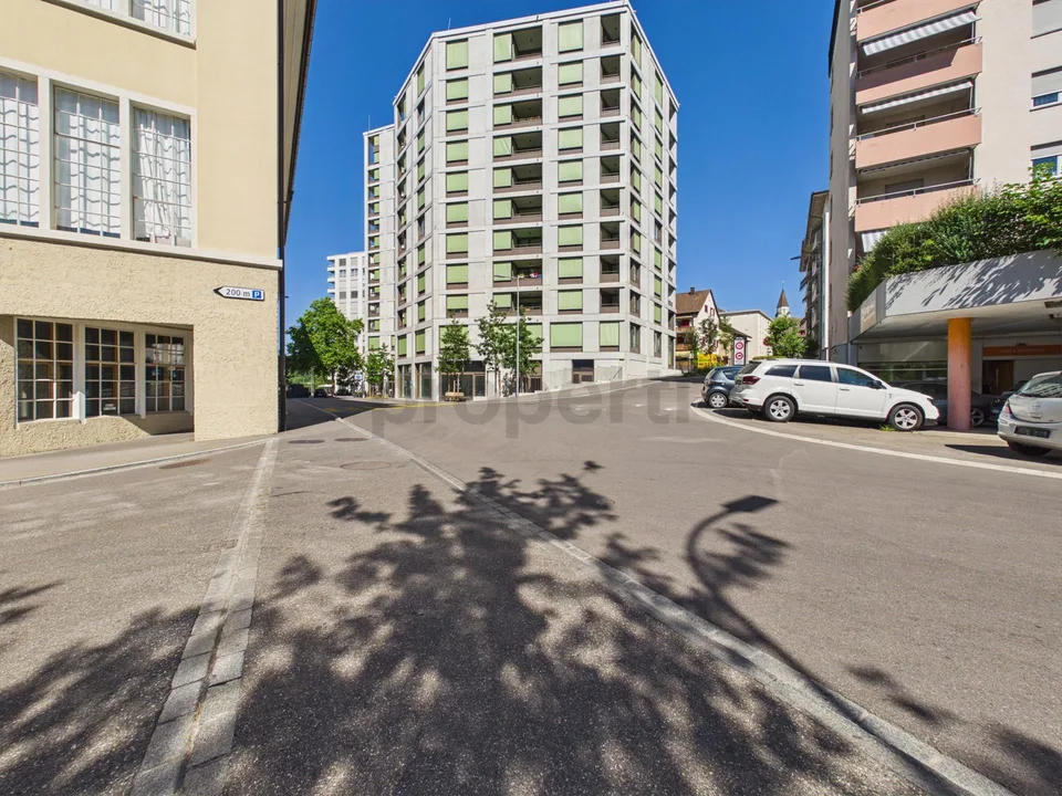 Compact space wonder near the Rhine Falls: New kitchen island, En-Suite bathroom, washing tower, and train station in 50 m – photo 9 of 21