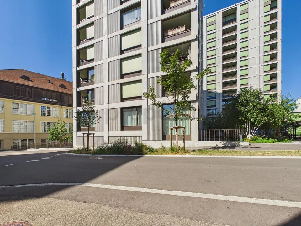Compact space wonder near the Rhine Falls: New kitchen island, En-Suite bathroom, washing tower, and train station in 50 m – photo 8 of 21