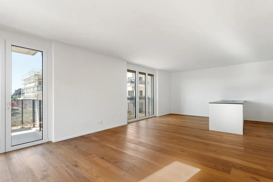 4 1/2 Zimmer-Wohnung Ziegeleiquartier, Berg