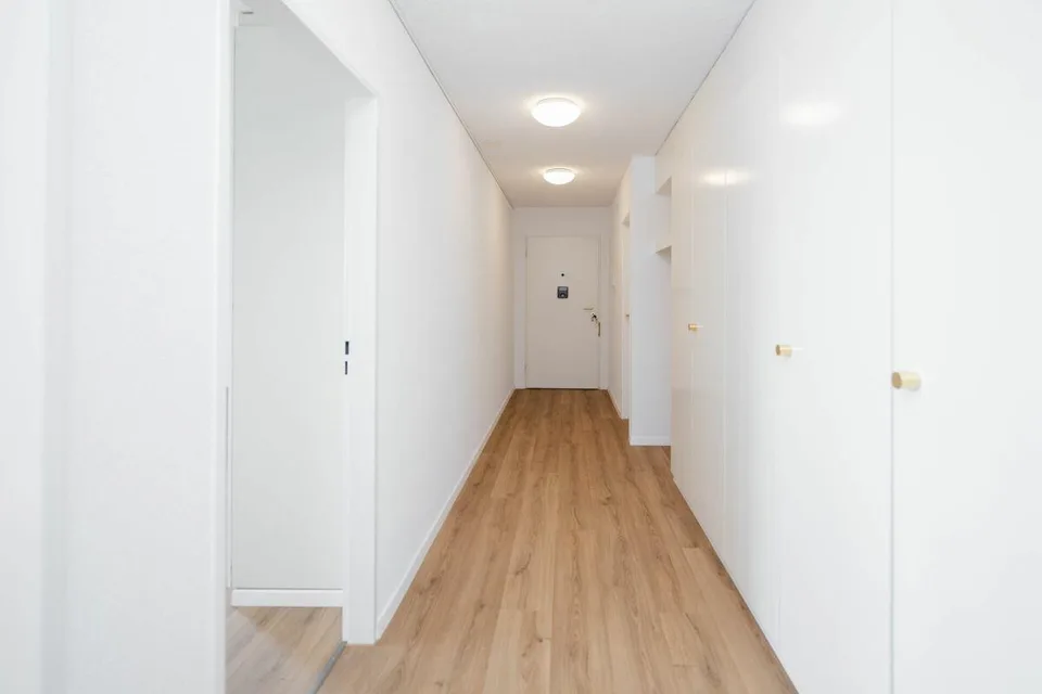 Attic apartment with private sauna in Aarau