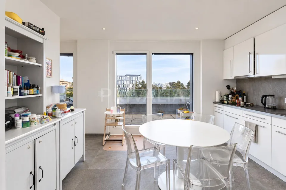 Magnifique attique contemporain avec terrasse